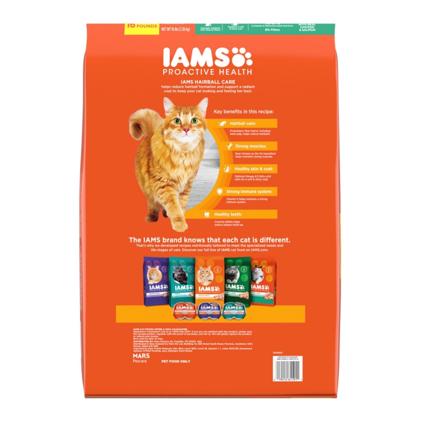 IAMS Proactive Health Hairball Care Adult Dry Cat Food Chicken & Salmon 16lb IAMS