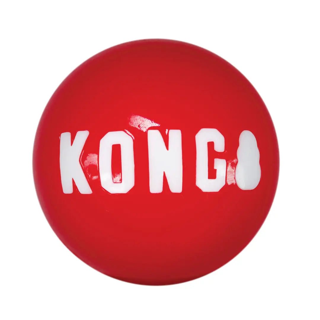 KONG Signature Ball Dog Toy Red 1ea/MD Kong