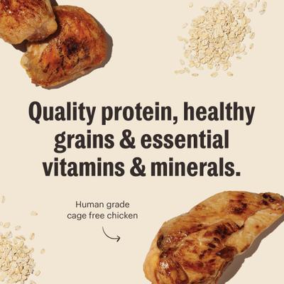 Show full view: The Honest Kitchen Essential Clusters Whole Grain Chicken Dry Dog Food, 20-lb bag slide 9 of 10