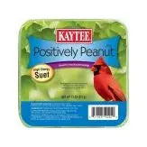 Kaytee Positively Peanut High Energy Mini Suet 1ea/11 oz Kaytee