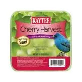 Kaytee Cherry Harvest High Energy Suet 1ea/11.75 oz Kaytee