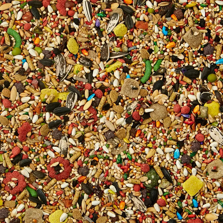 Kaytee Fiesta Cockatiel Food 1ea/4.5 lb Kaytee