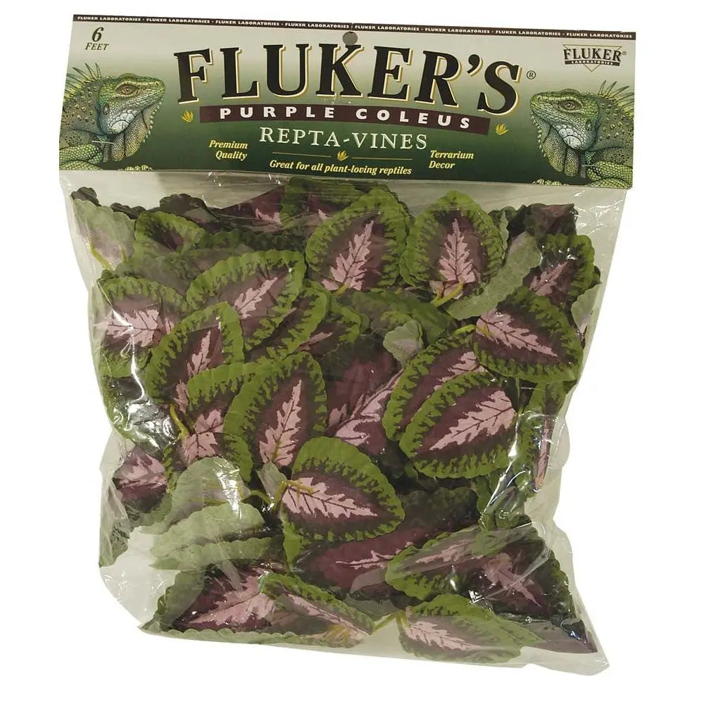 Fluker's Purple Coleus Repta-Vines Green, Purple 1ea/6 ft Fluker's