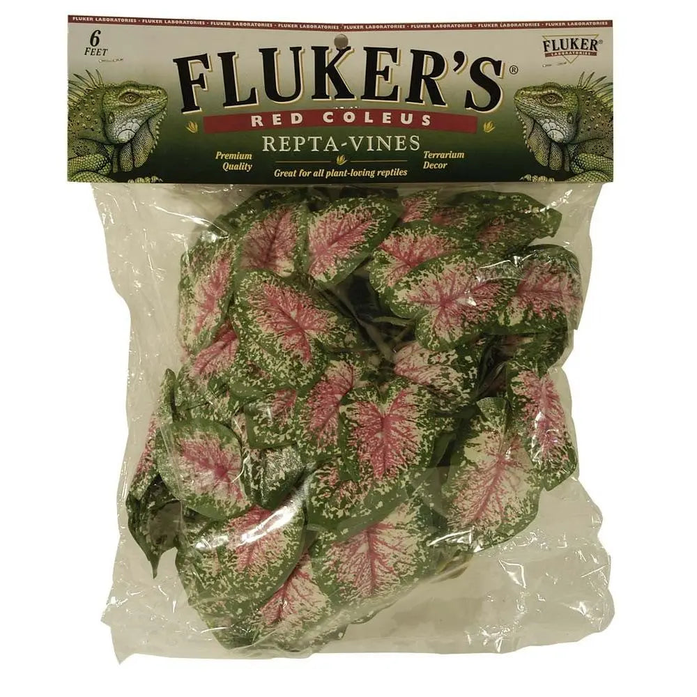 Fluker's Red Coleus Repta-Vines Green, Red 1ea/6 ft Fluker's