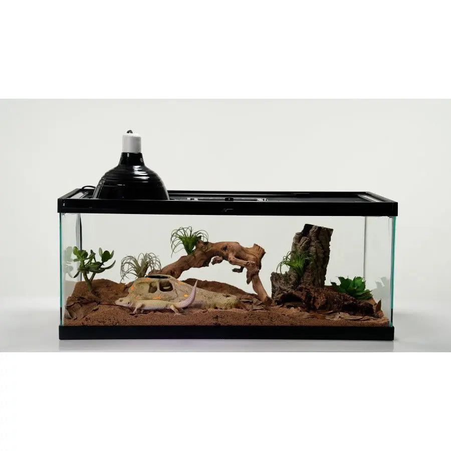 Zilla Rapid Sense Decor Large Crocodile Skull 1ea/Large Zilla