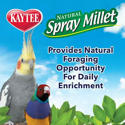 Kaytee Spray Millet for Birds 1ea/7 oz Kaytee