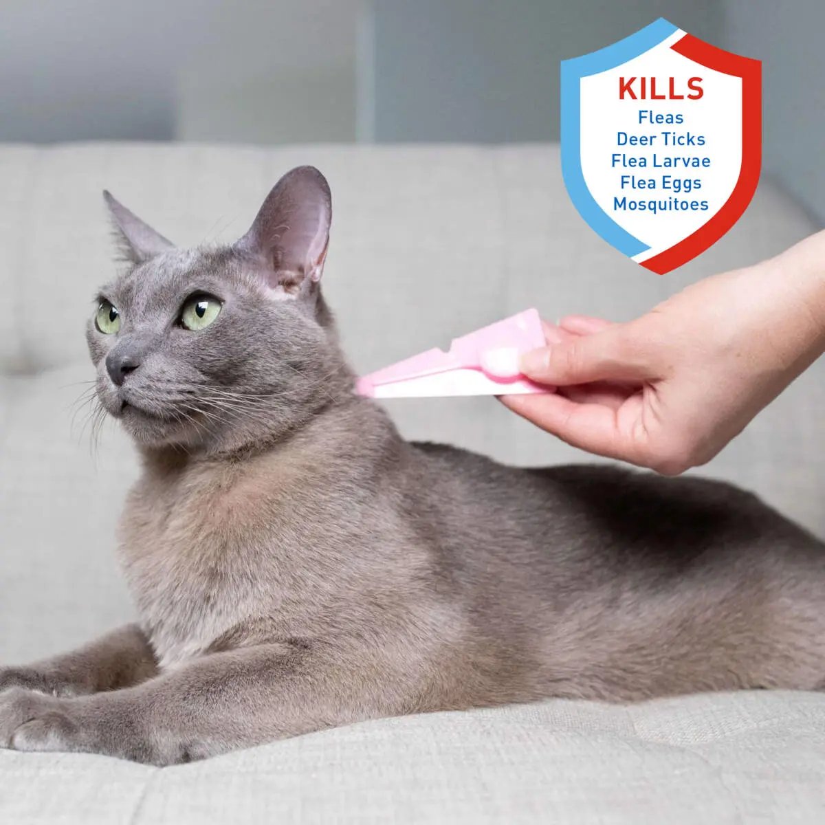 Adams Plus Flea Tick Spot On for Cats 1ea/Over 5 lb Adams