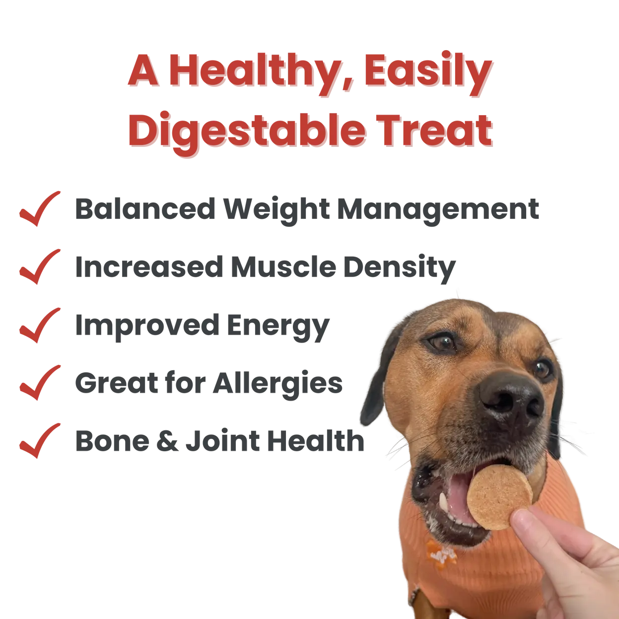 Chicago Chicken Chips Dog Treats Farm To Pet