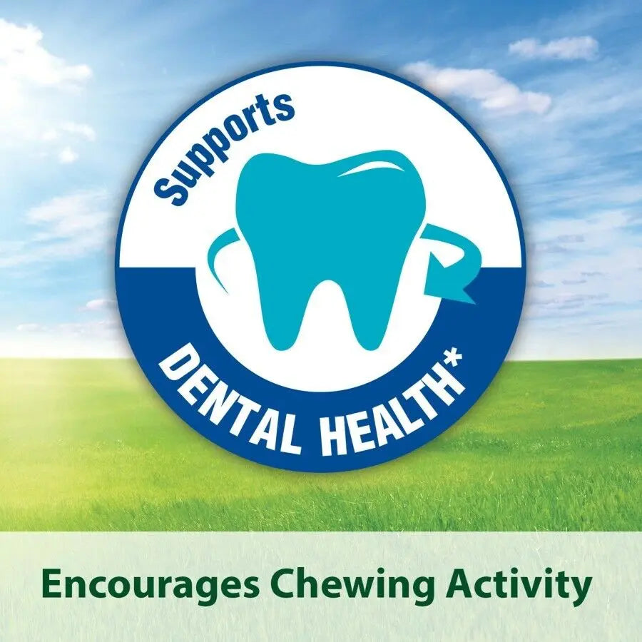 Kaytee Timothy Biscuits Baked Treat - Apple 1ea/4 oz Kaytee