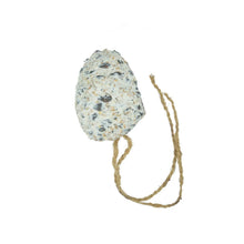 A & E Cages Garden & Fun Suet Pine Cone Bird Treat 1ea/330 g A & E Cages
