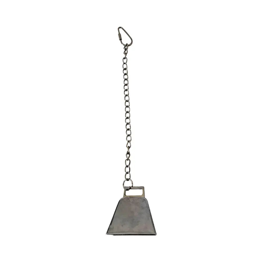 A & E Cages Happy Beaks Silver Bird Bell on Chain Bird Toy 1ea/LG A & E Cages