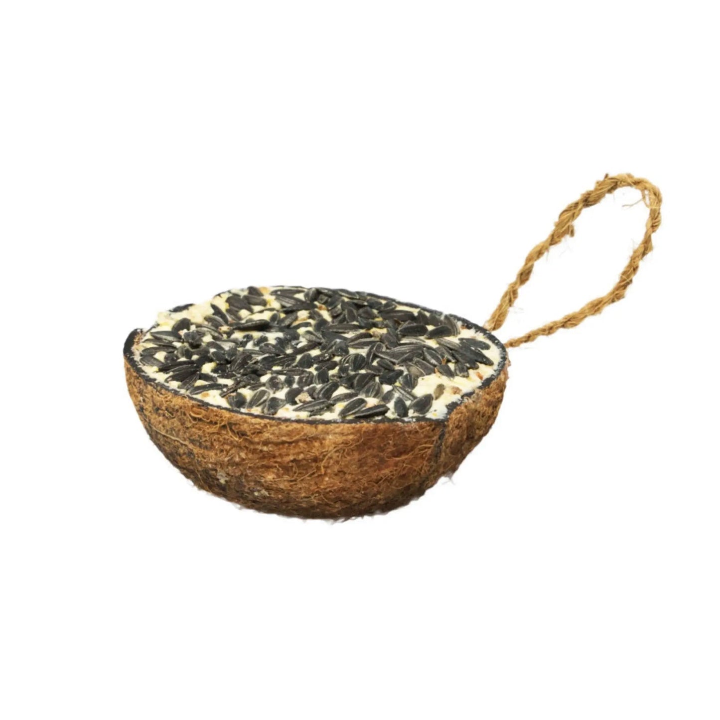 A & E Cages Garden & Fun Half Coconut w/Suet & Black Oil Sunflower Bird Treat 1ea/290 g A & E Cages