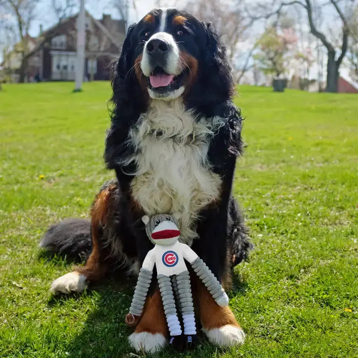 Team Sock Monkey Pet Toy Little Earth Productions