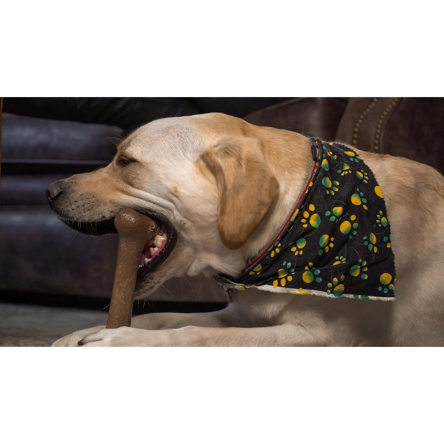 Hero Bonetics Chew Bone Large Beef Flavor Nature's Select Midwest