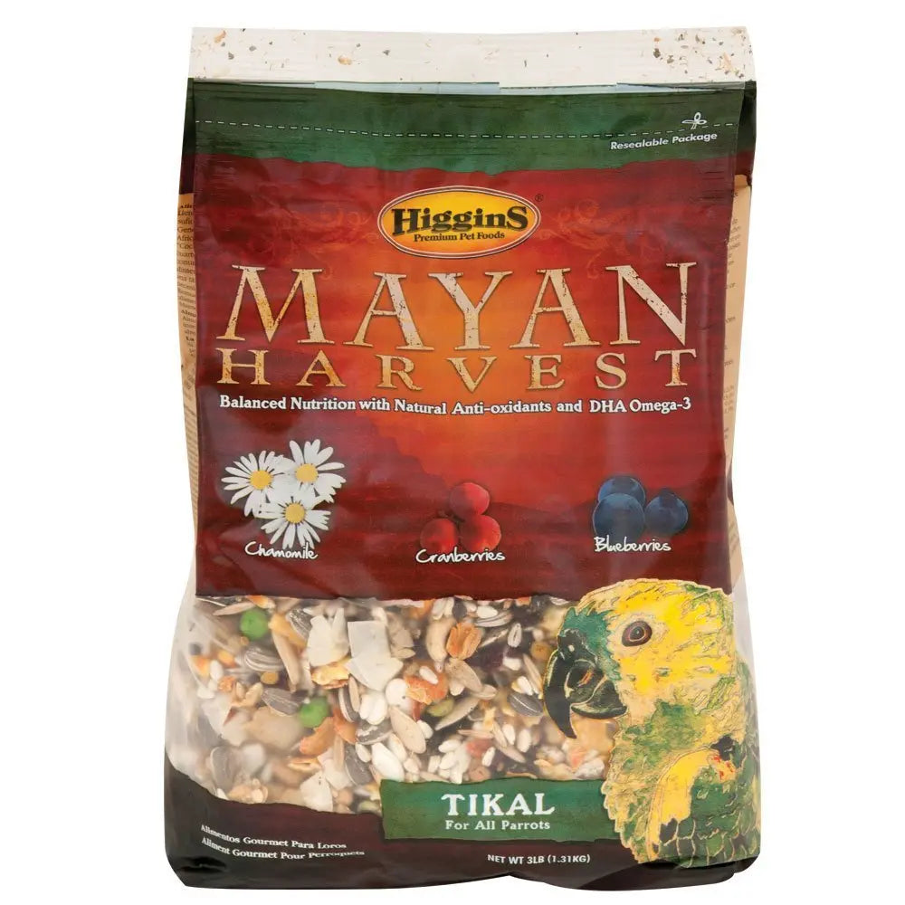 Mayan Harvest Tikal Blend 3 Lb Higgins
