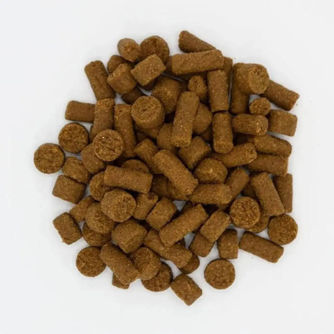 Oxbow Small Animal Real Prey Rewards Treat Chicken 3oz. Oxbow