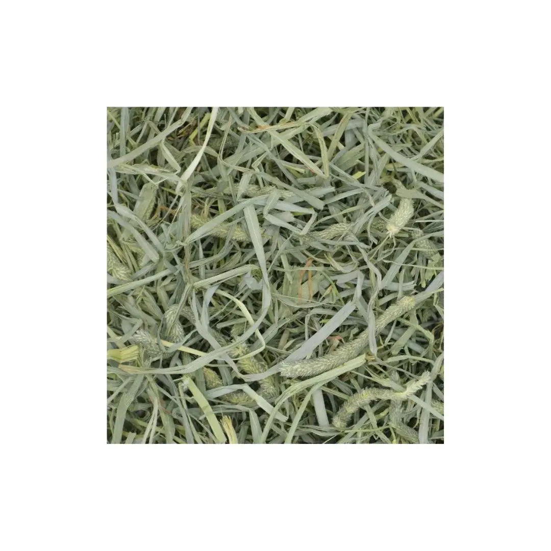 Oxbow Small Animal Prime Crunchy Timothy Hay 20oz. Oxbow