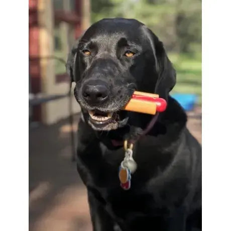 Nylon Hot Dog Chew Toy Soda Pup Dog Toys