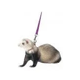 Marshall Pet Products Ferret Harness and Lead Set Purple 1ea Marshall Pet Products