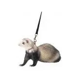 Marshall Pet Products Ferret Harness and Lead Set Blue 1ea Marshall Pet Products
