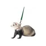 Marshall Pet Products Ferret Harness and Lead Set Black 1ea Marshall Pet Products