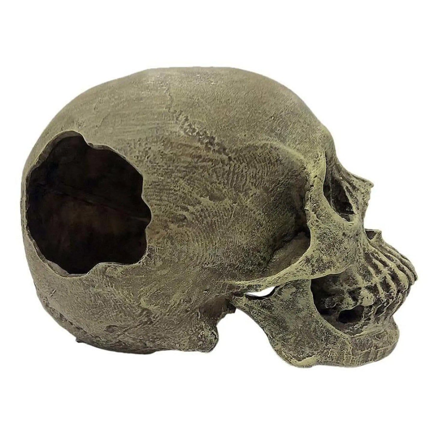 Komodo Half Human Skull Reptile Hideout Gray 1ea/One Size Komodo