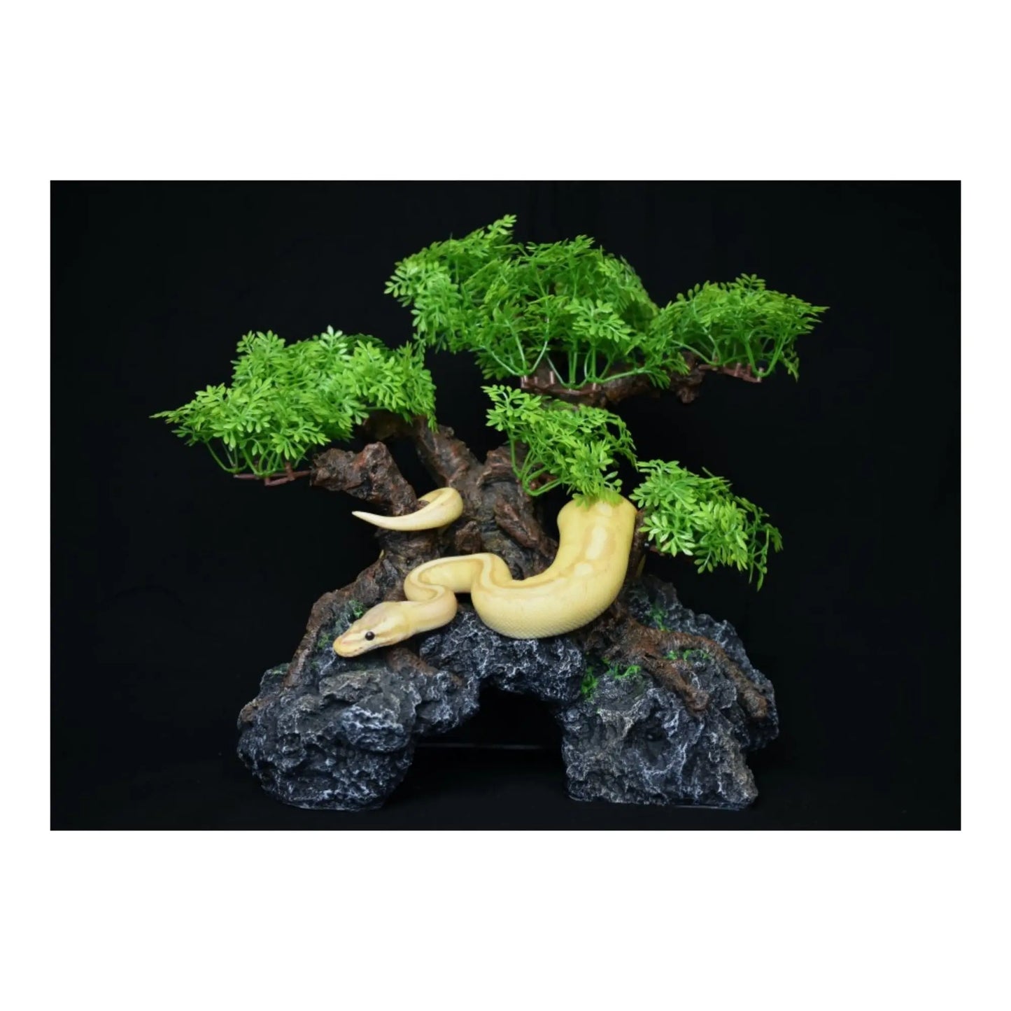 Komodo Bonsai Tree w/ Hide 1ea/18 in Komodo