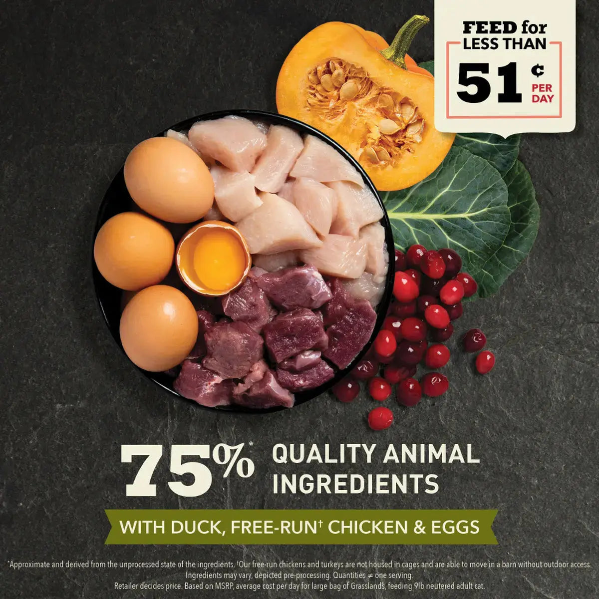 ACANA Kittens First Feast Chicken & Fish Dry Cat Food Pet Food Experts