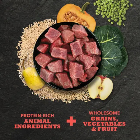 ACANA Dog Classics Beef & Barley Recipe Pet Food Experts
