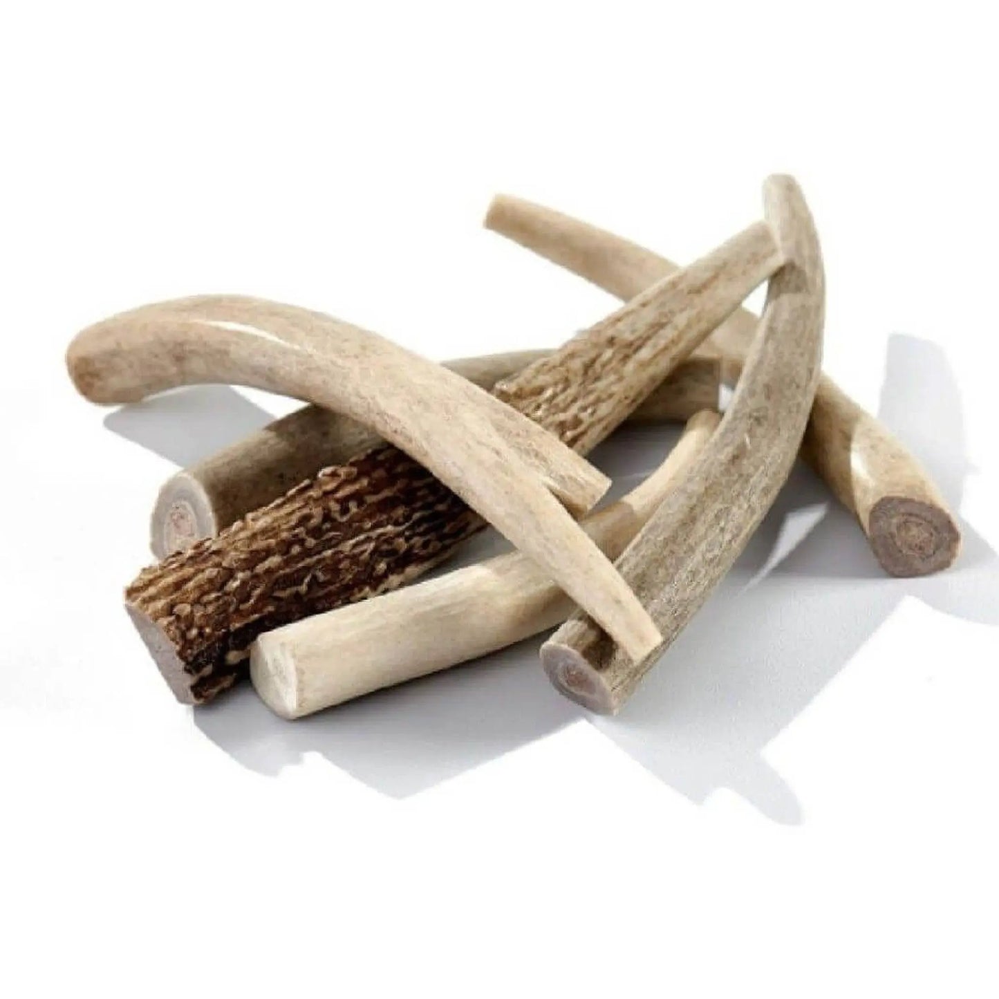 Elk Antler Dog Chews CST Antlers