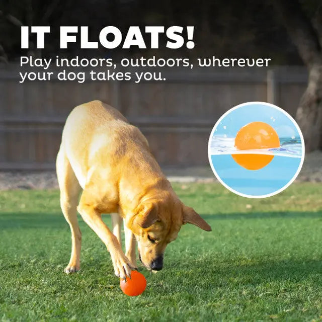 Orbee-Tuff Snoop Squeak Fetch Ball Outward Hound