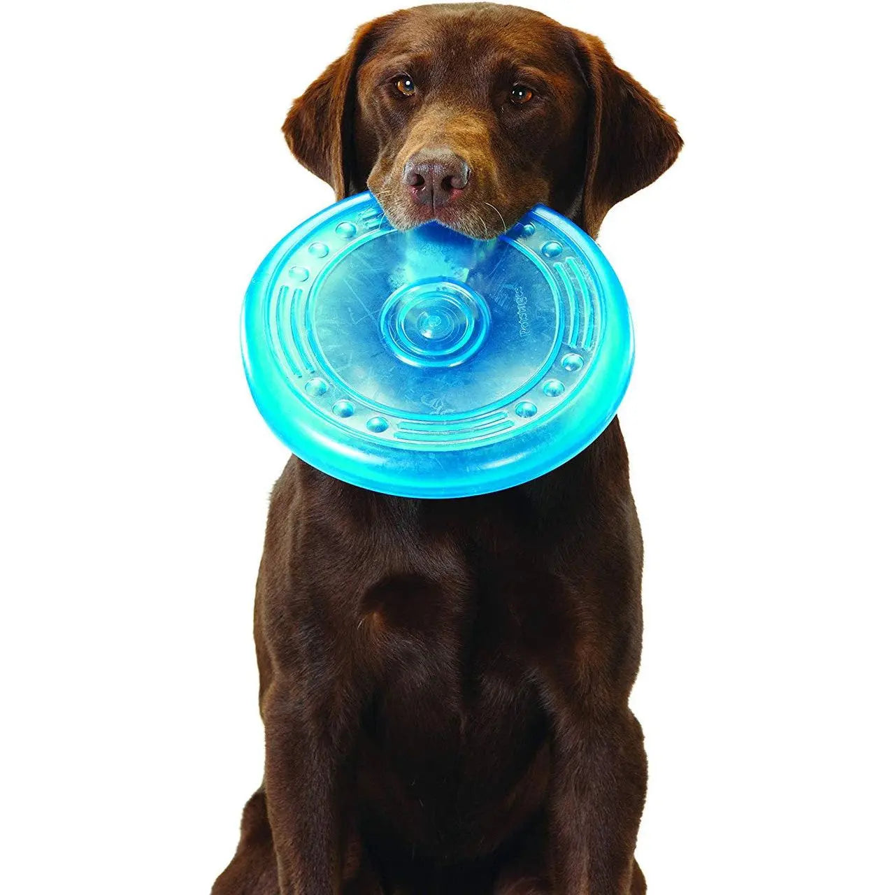 Petstages Orka Dog Toys Nature's Select Midwest