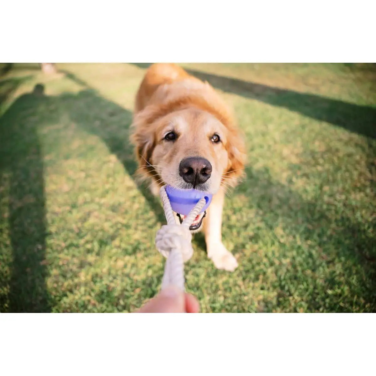 Yomp BallRope RAD/YOMP