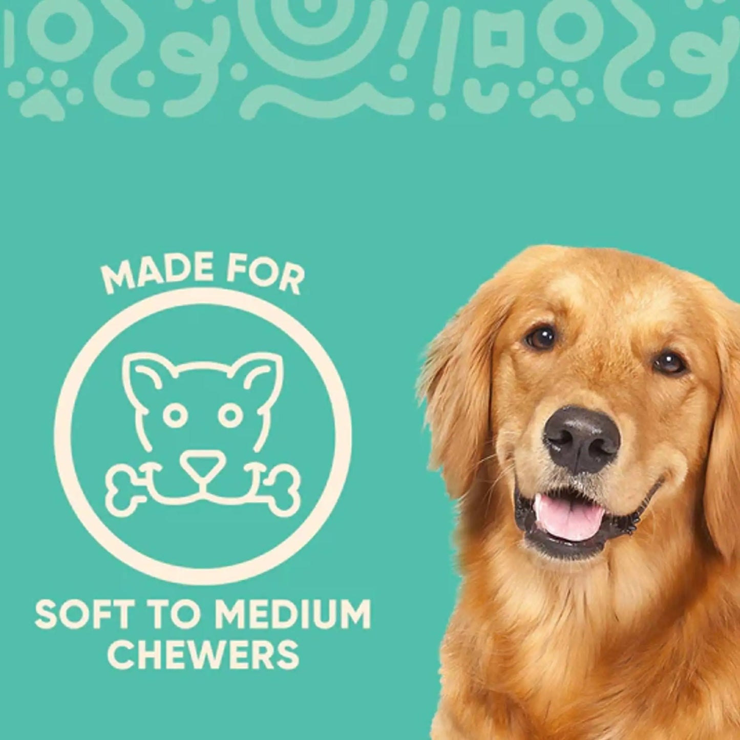 Yomp ChillChew RAD/YOMP