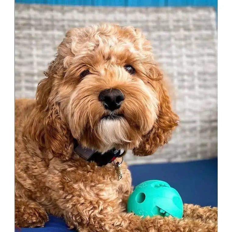 Yomp Snackin' Ball RAD/YOMP