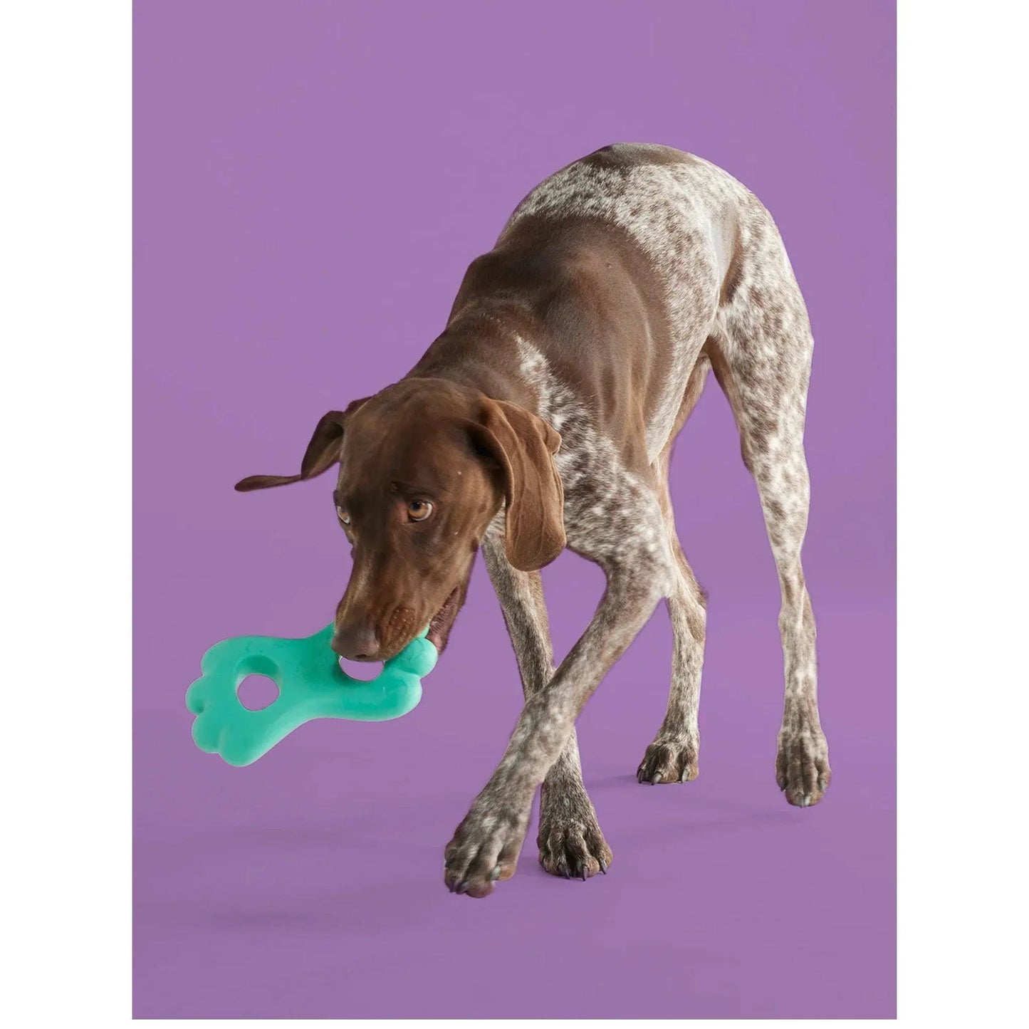 Yomp TugPup RAD/YOMP