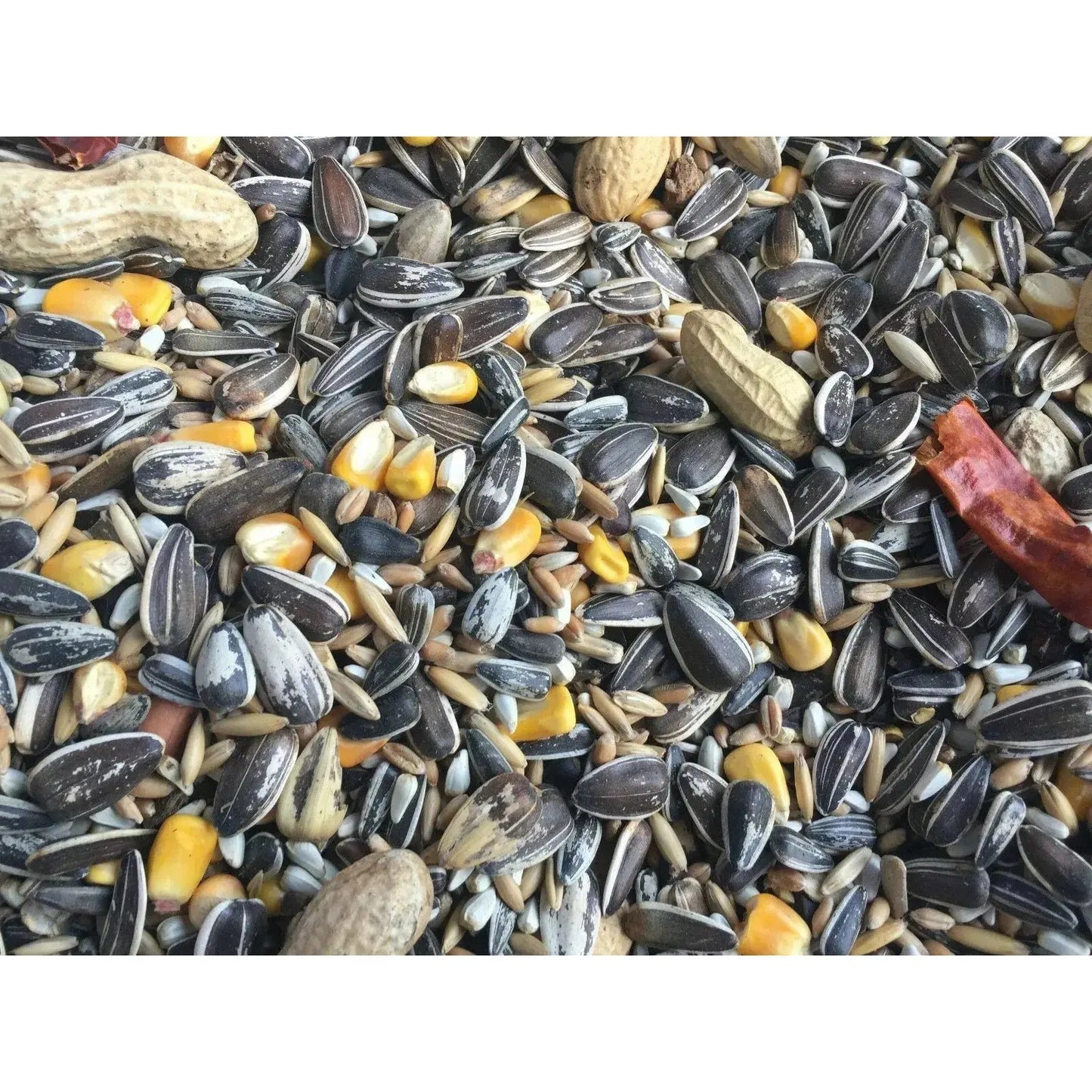 Supreme Blend Parakeet 50 Lb Higgins