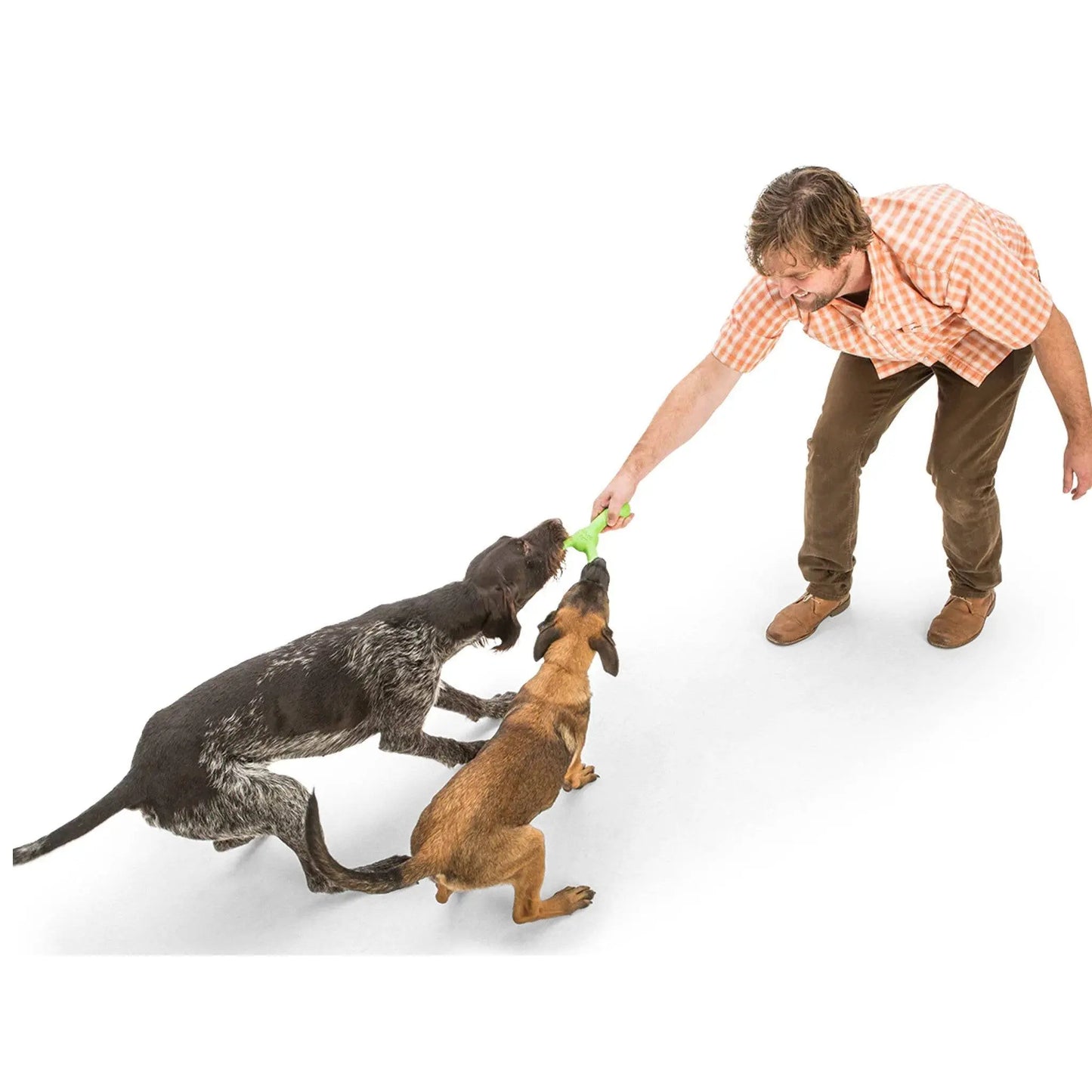 West Paw Skamp West Paw