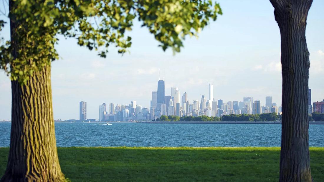 Best-dog-parks-in-Chicago-Barkaroo-s-Top-Picks Barkaroo