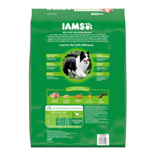 IAMS Minichunks Small Kibble High Protein Adult Dry Dog Food Real Chicken 15lb IAMS