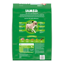 IAMS High Protein Large Breed Adult Dry Dog Food Real Chicken 15lb IAMS