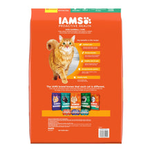 IAMS Proactive Health Hairball Care Adult Dry Cat Food Chicken & Salmon 16lb IAMS