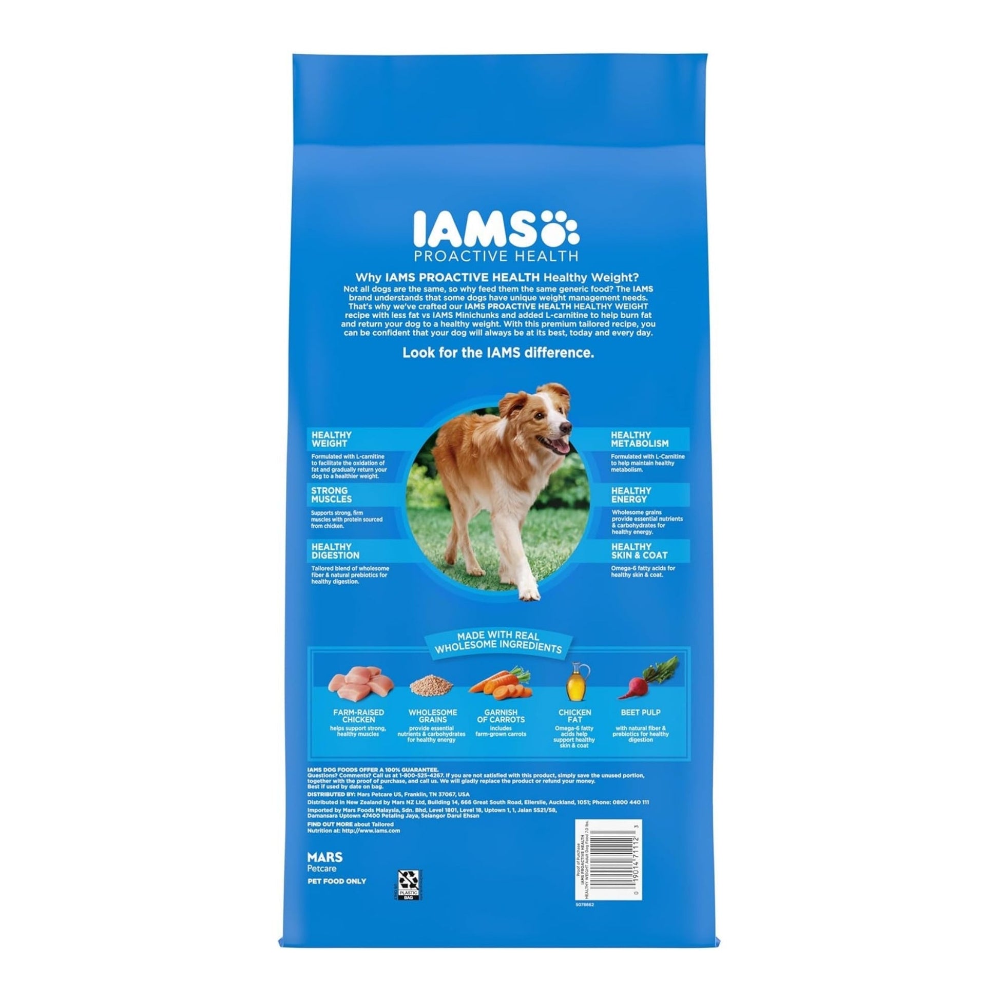 IAMS Healthy Weight Adult Dry Dog Food Chicken 7lb IAMS