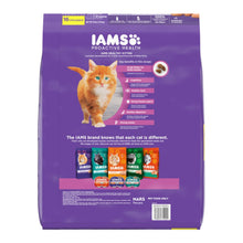 IAMS Proactive Health Kitten Dry Cat Food Chicken 16lb IAMS
