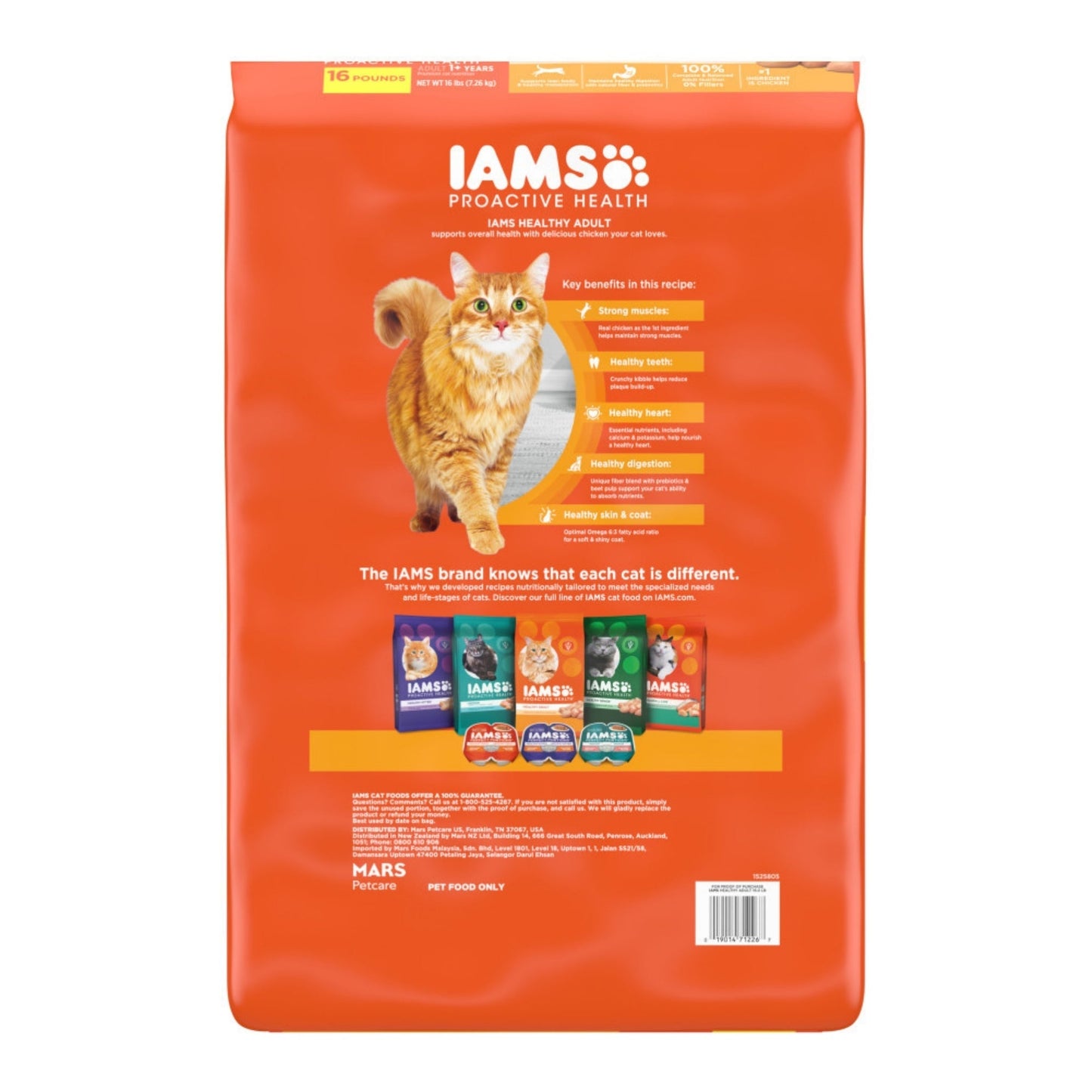 IAMS Proactive Health Adult Dry Cat Food Chicken 16lb IAMS