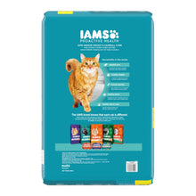 IAMS Proactive Health Weight Control & Hairball Care Indoor Adult Dry Cat Food Chicken & Turkey 16lb IAMS