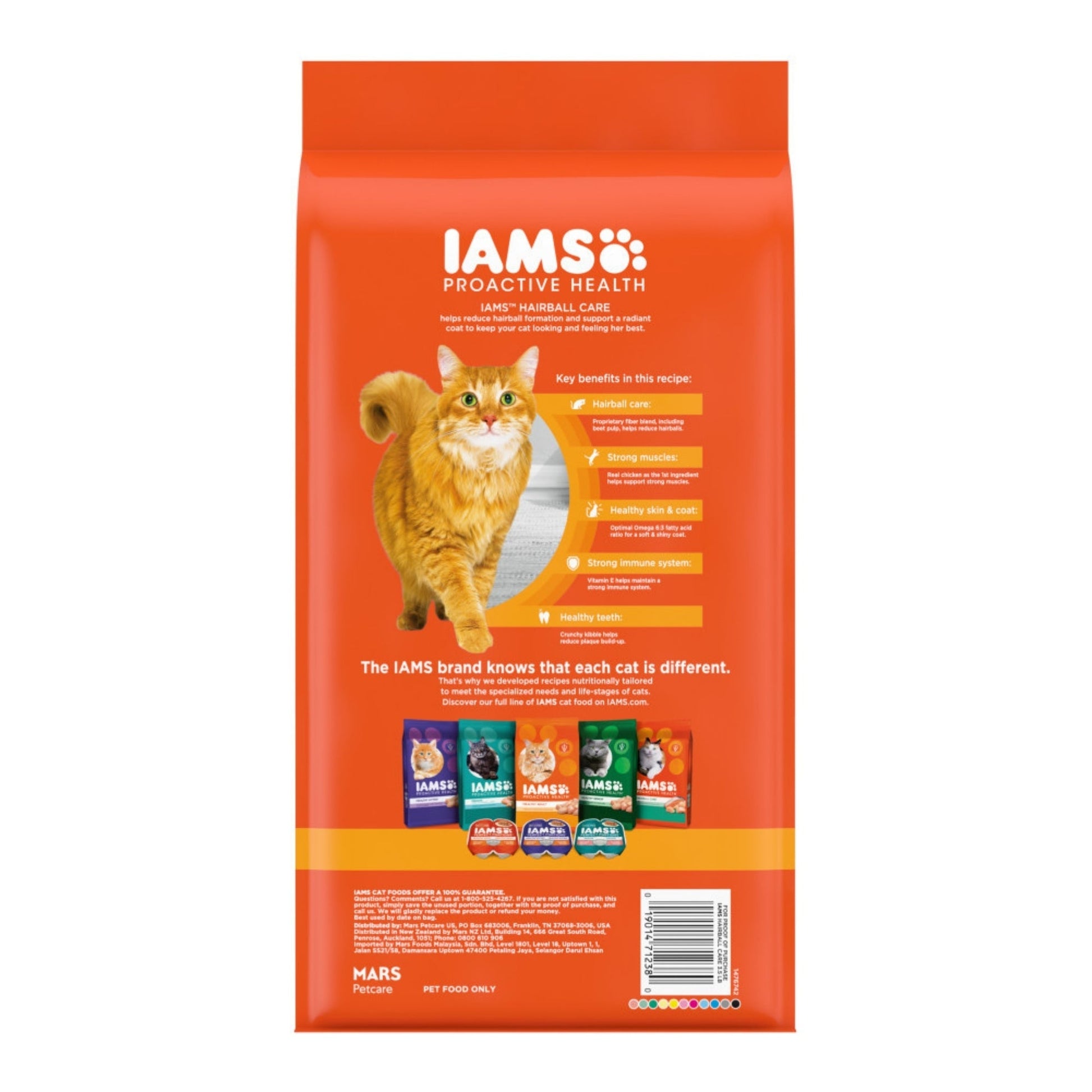 IAMS Proactive Health Hairball Care Adult Dry Cat Food Chicken & Salmon 3.5lb IAMS
