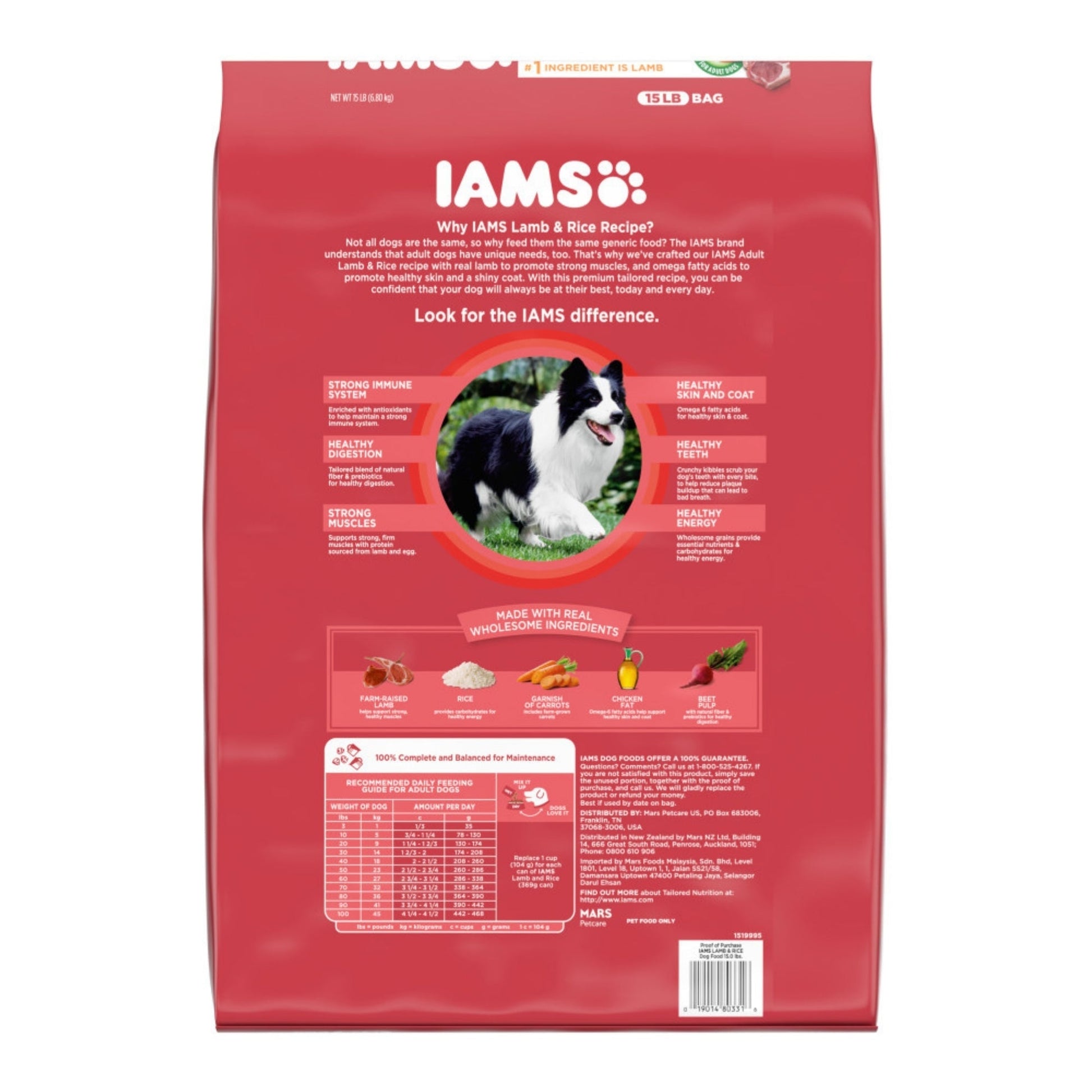 IAMS Minichunks Adult Dry Dog Food Lamb & Rice 15lb IAMS