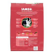 IAMS Minichunks Adult Dry Dog Food Lamb & Rice 15lb IAMS