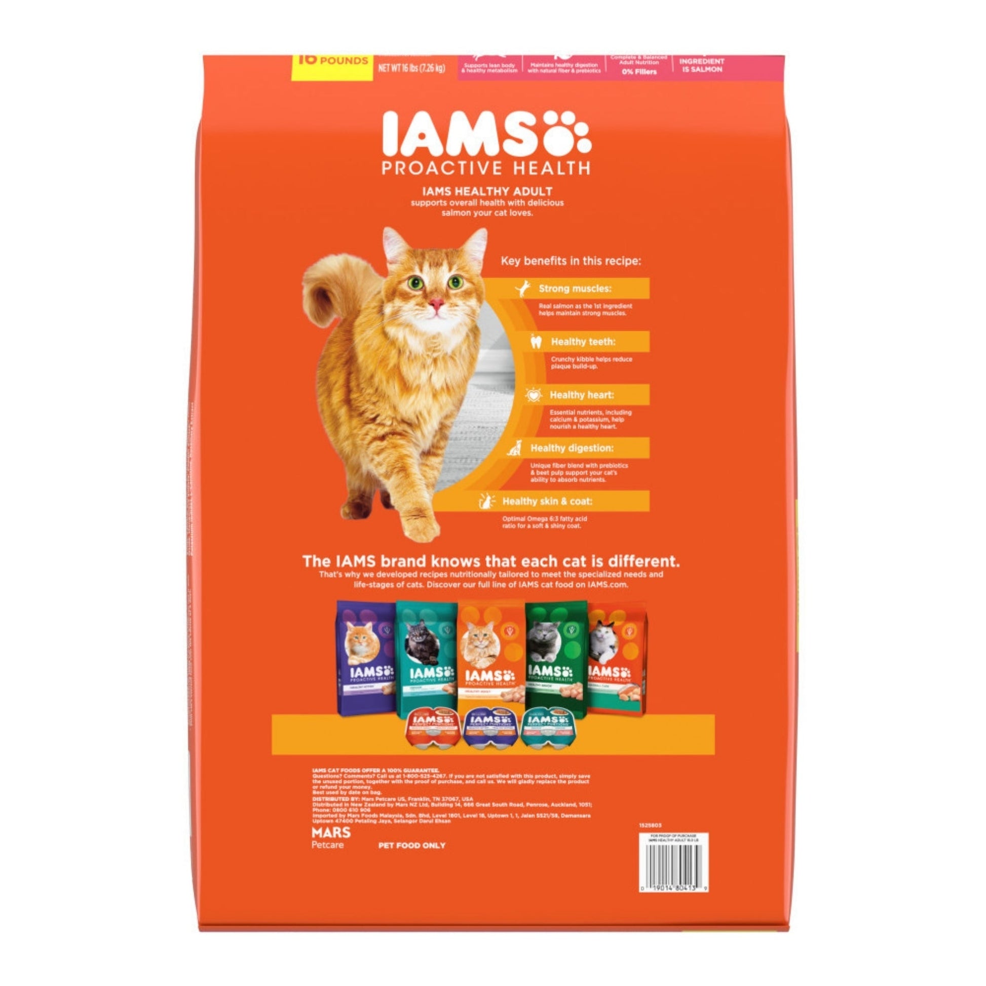 IAMS Proactive Health Adult Dry Cat Food Salmon 16lb IAMS